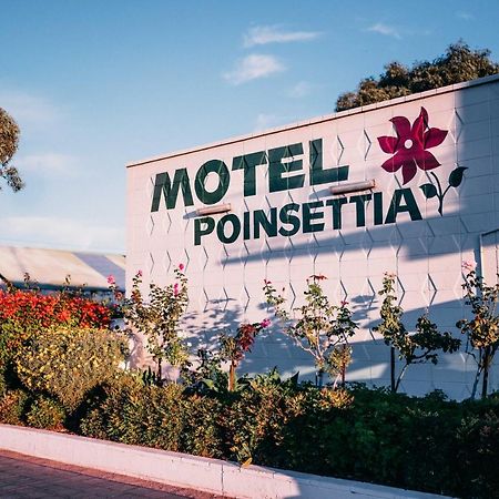 Motel Poinsettia Port Augusta Exteriör bild